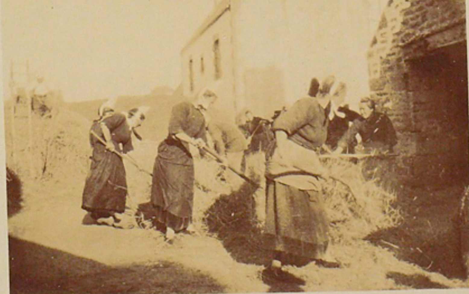 Capture d'écran 2026 05 25 175404